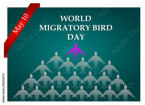 world migratory bird day photo