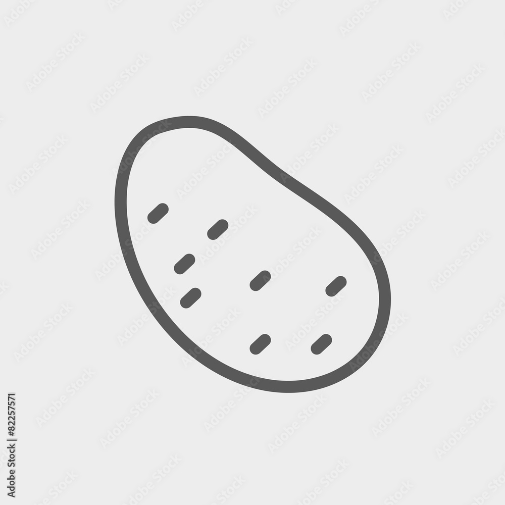 Potato thin line icon Potato thin line icon