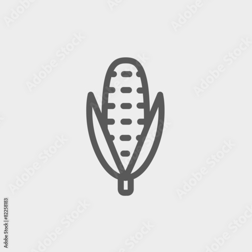 Corn thin line icon