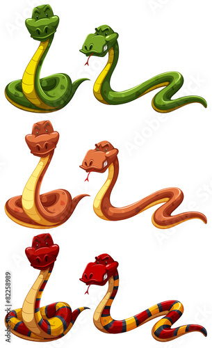 Snakes.