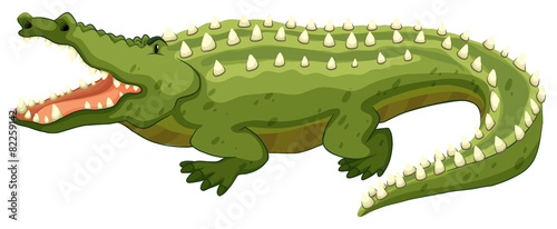 Crocodile © blueringmedia
