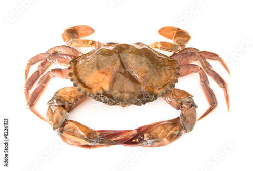 soft shell crab