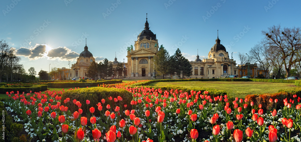 Fototapeta premium Budapeszt - wiosenna panorama z kwiatem, Szechenyi Spa, Węgry