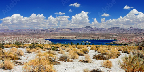 Slika na platnu Lake Mohave Landscape Nevada