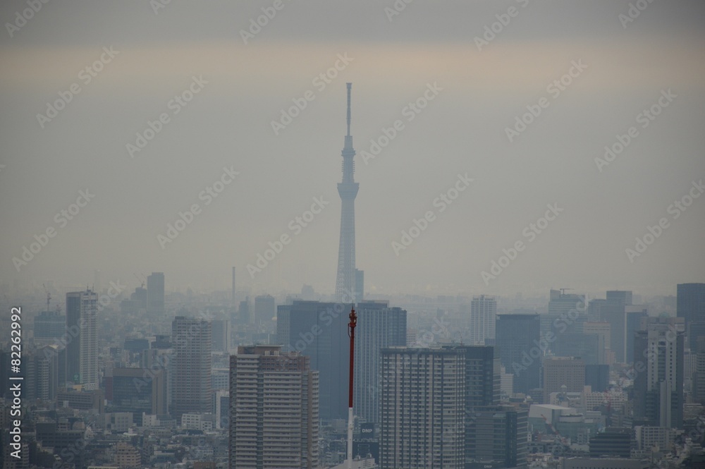 Skyline von Tokio, Japan - Skytree