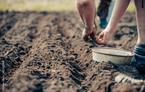 workers on spring farmland