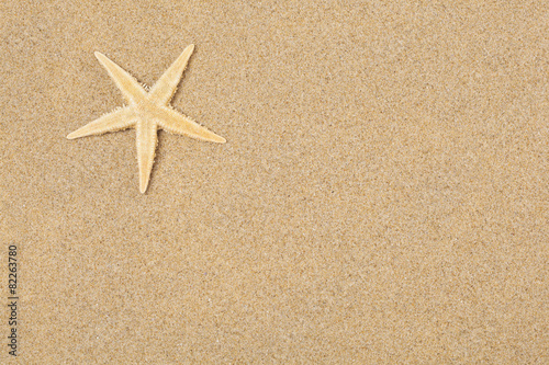 Starfish in the beach sand