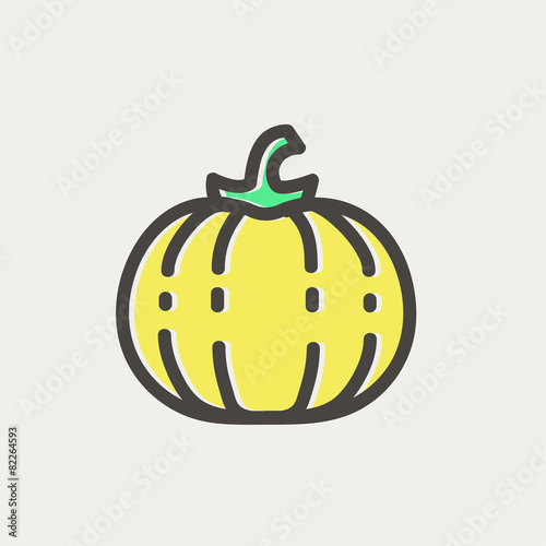 Squash thin line icon