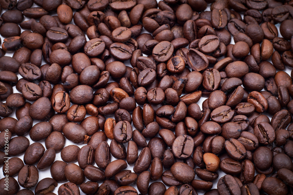 Coffee Seed Coffee Seed