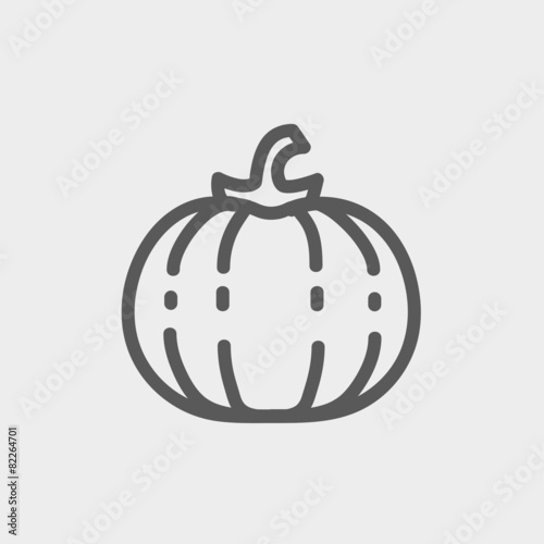 Squash thin line icon