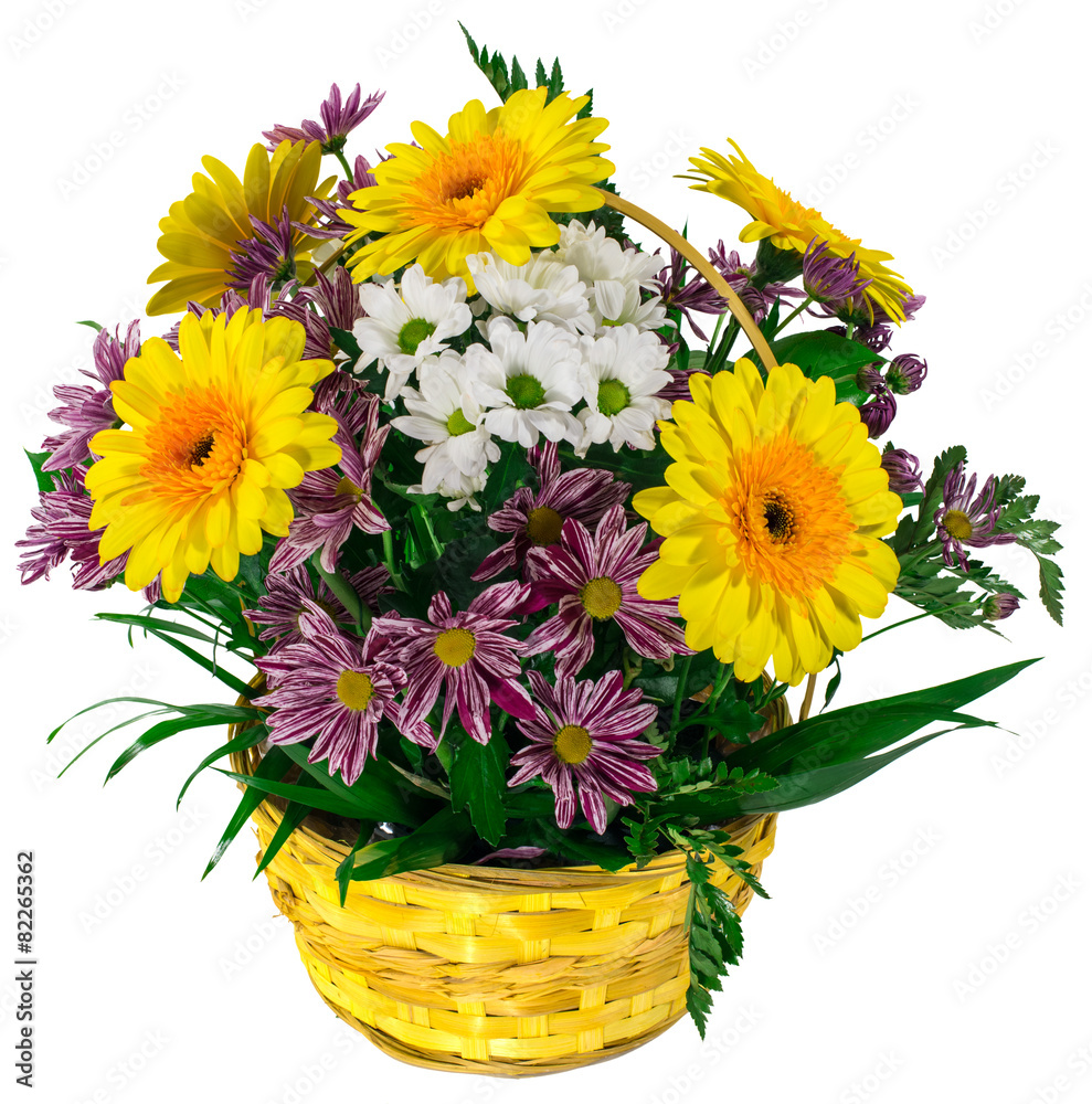 Basket of chrysanthemums and gerbera flowers