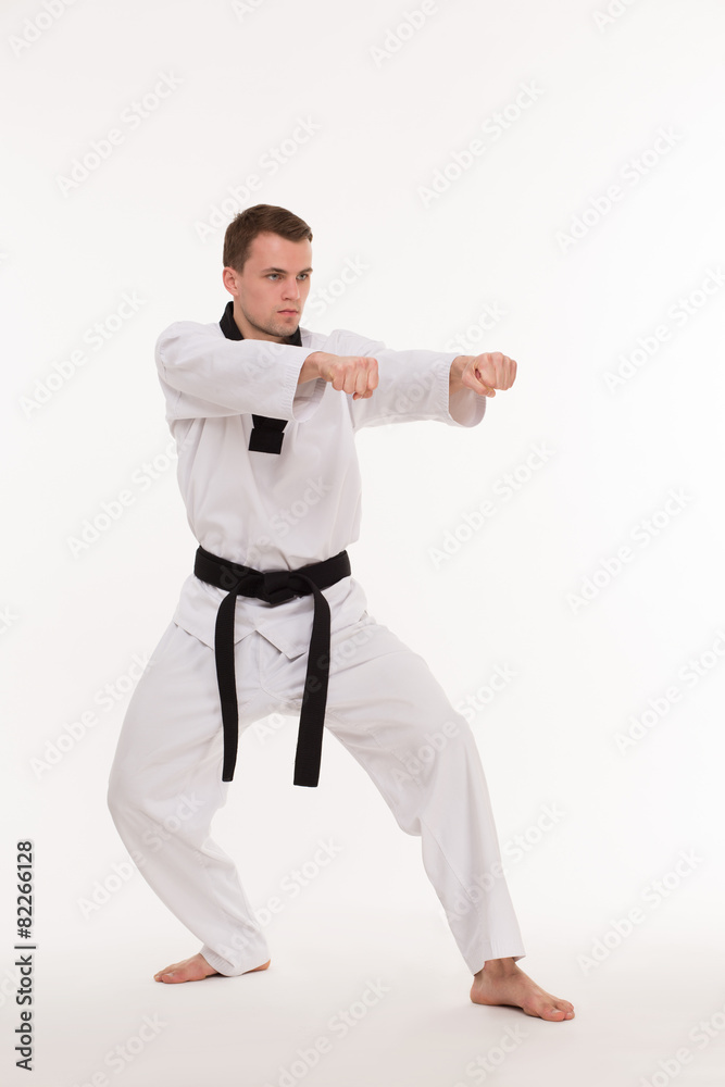 Martial arts master Martial arts master