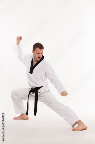 Martial arts master