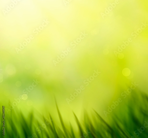 Spring grass