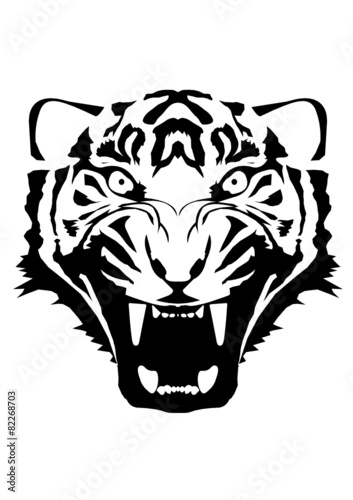 Tiger Black and White