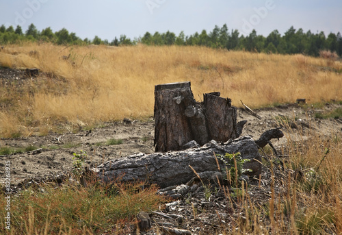 Bledow Desert. Poland photo