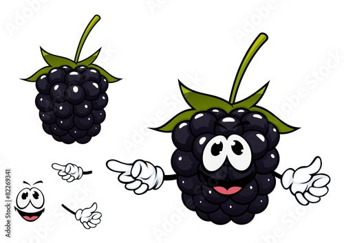 Funny ripe blackberry fruit character