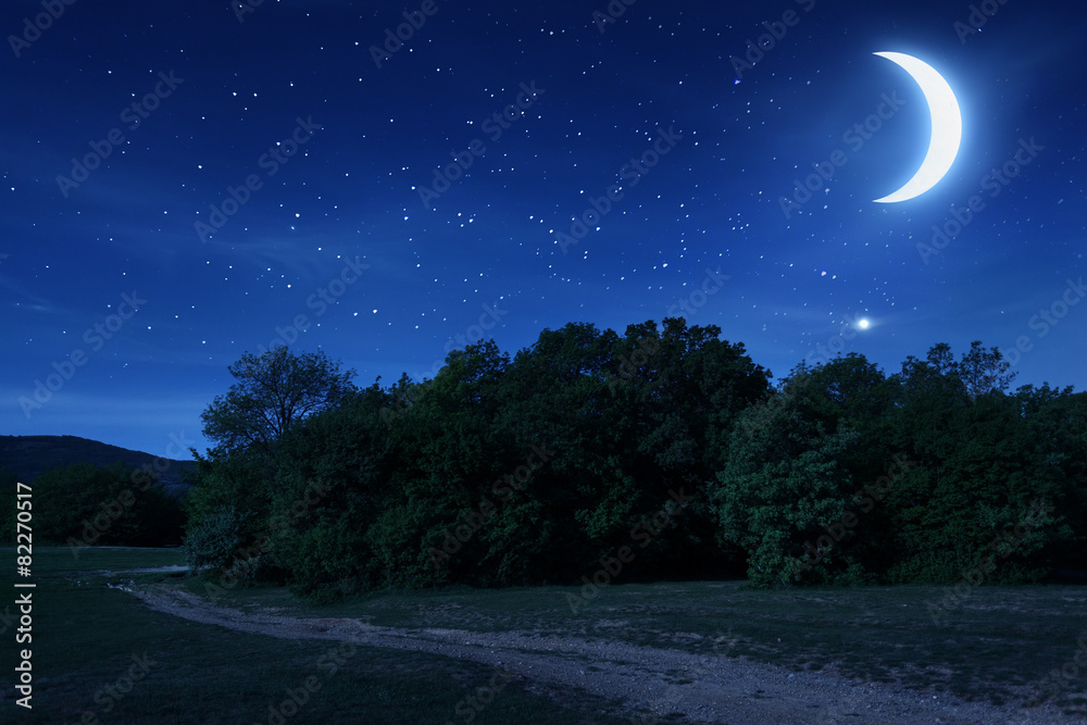 Beautiful night sky with the moon and stars Stock Photo | Adobe Stock