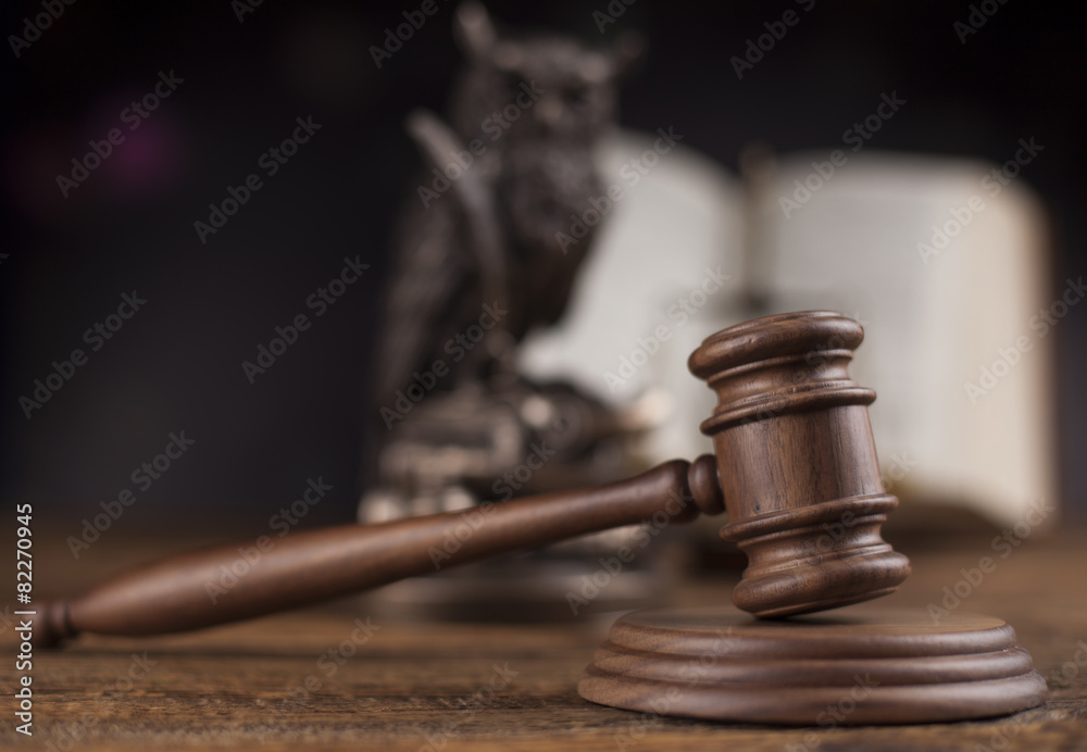 Law concept, owl in a judge gavel concept Law concept, owl in a judge gavel concept