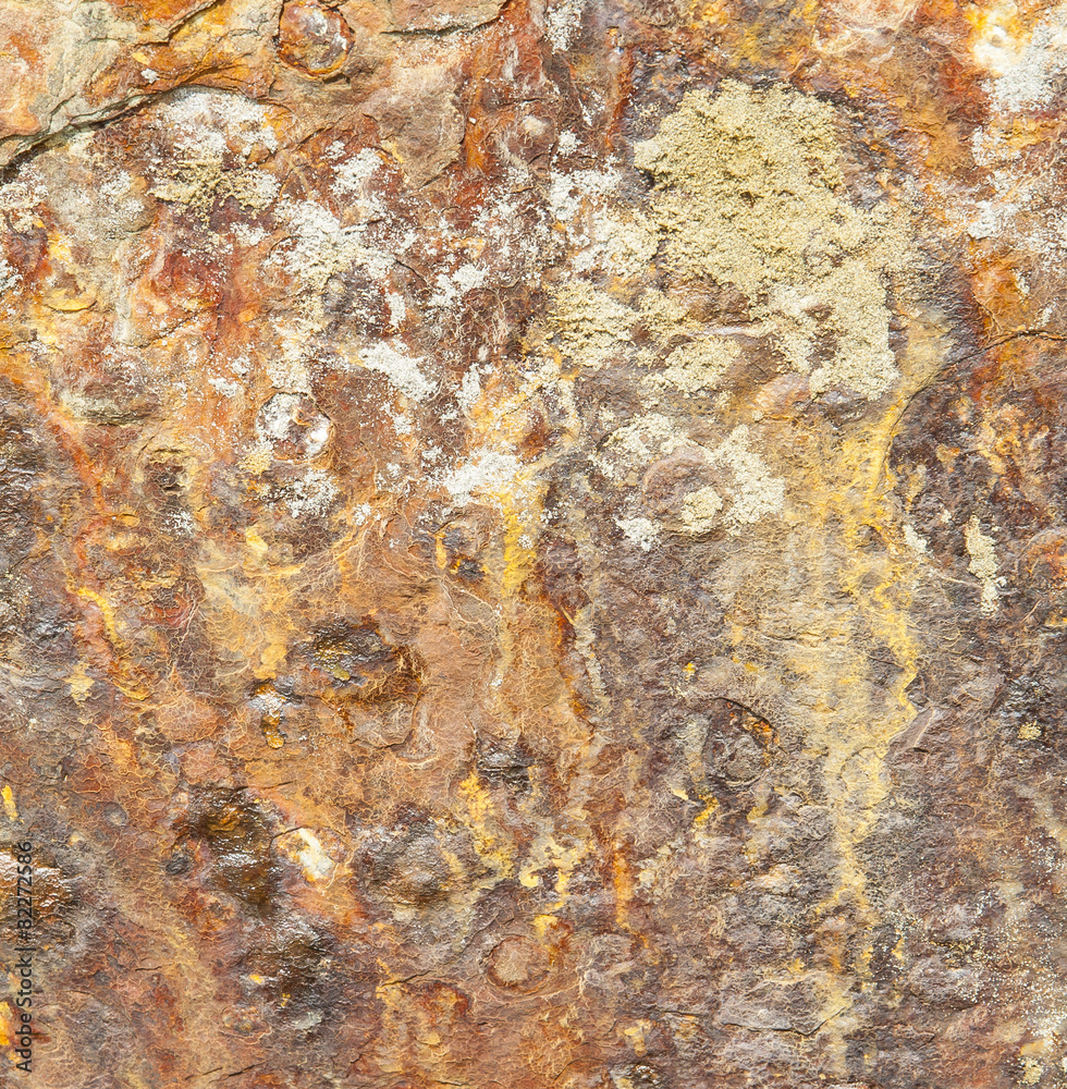 Rust on Wreck of the Peter Iredale