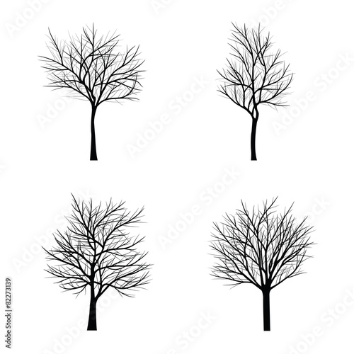 Trees with dead branch