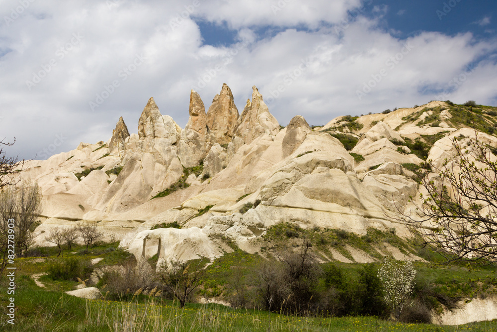 Fototapeta premium Cappadocia