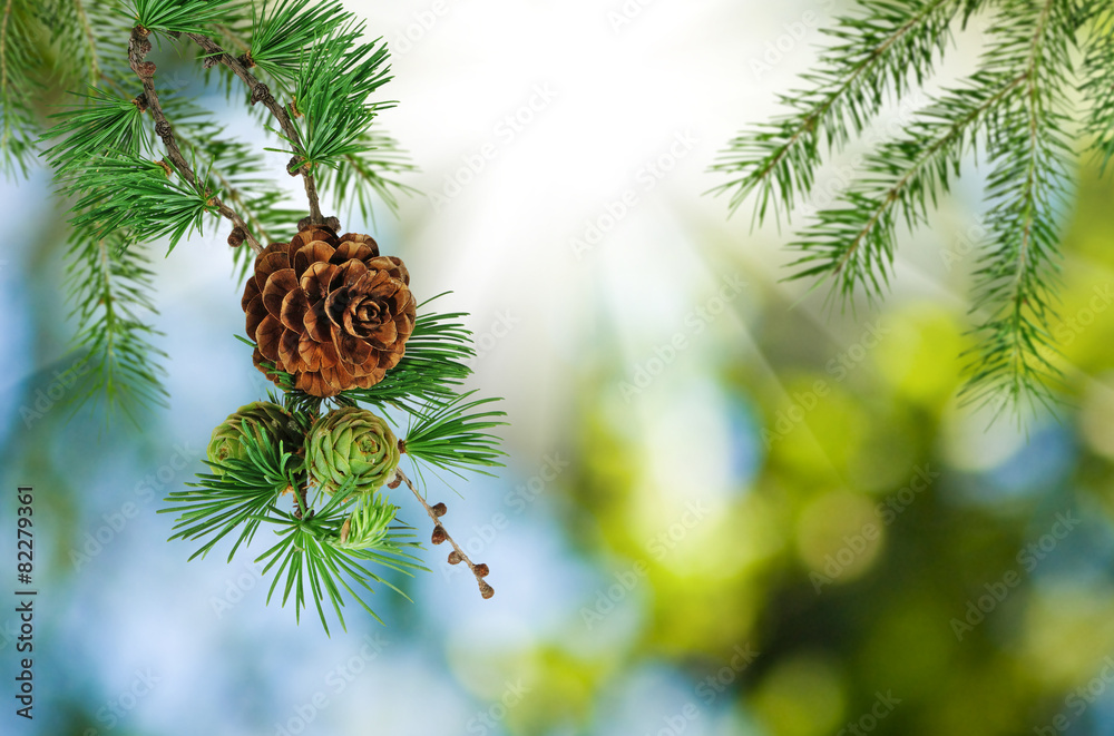 Obraz premium bump against the sun