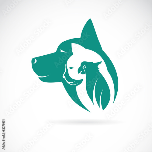 Vector image of an dog cat and bird on white background. Animal