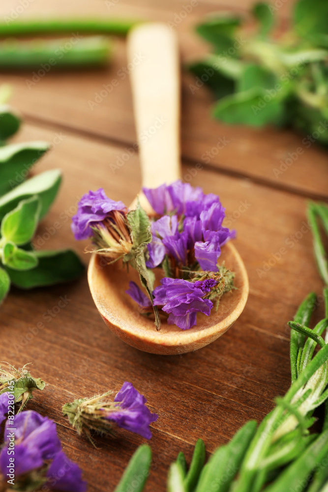 Green herbs and leaves on wooden  table, closeup