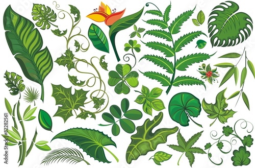Setr of Tropical Leaves