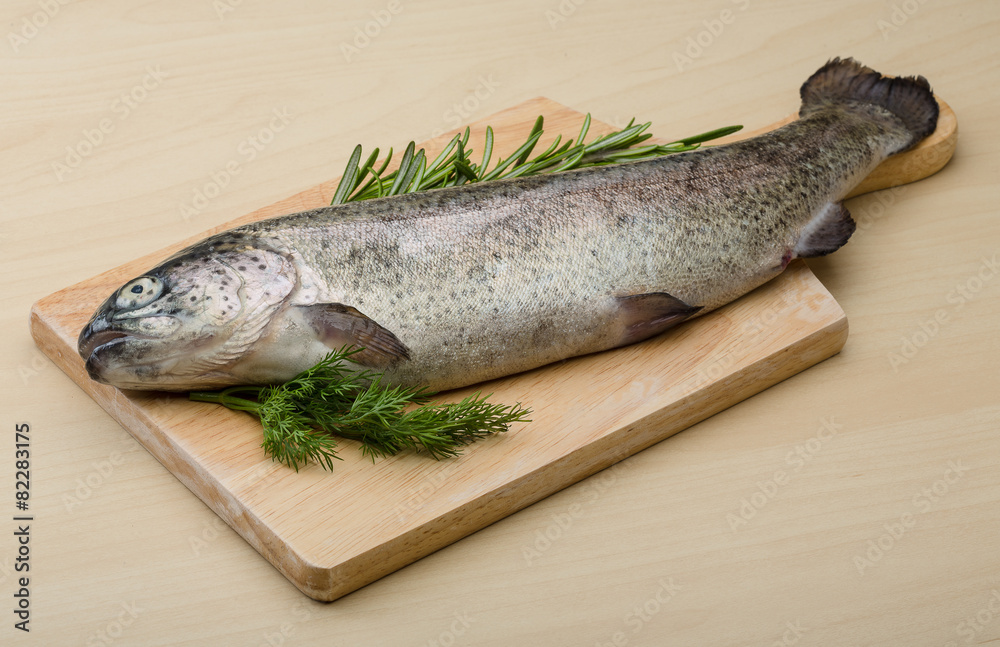 Raw fresh trout