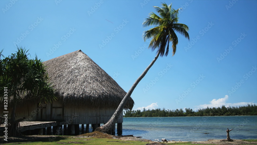 tropical hut tropical hut