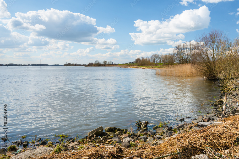 On the banks of a wide river