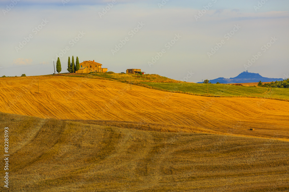 Obraz premium Tuscany, Italy - San Quirico d'Orcia