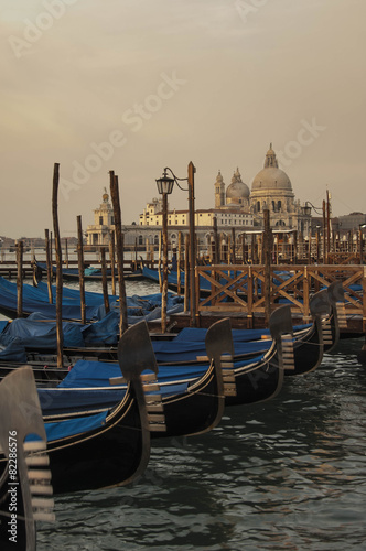 Gondolas in San Marco Square, Venice © Jason Row Photo