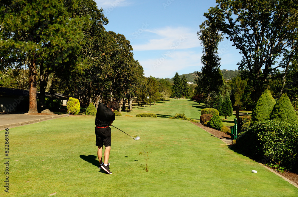 Fototapeta premium Go Golfing