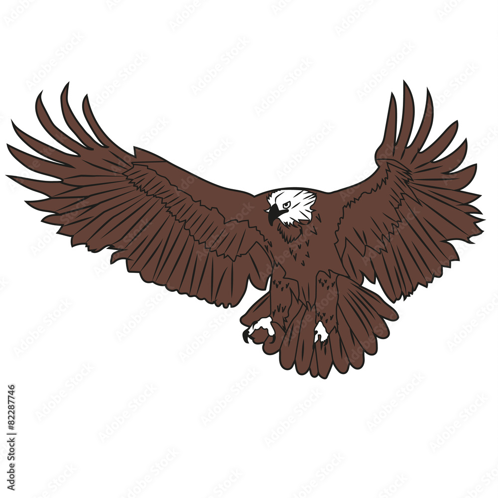 Obraz premium Adler V1 Jpeg Version