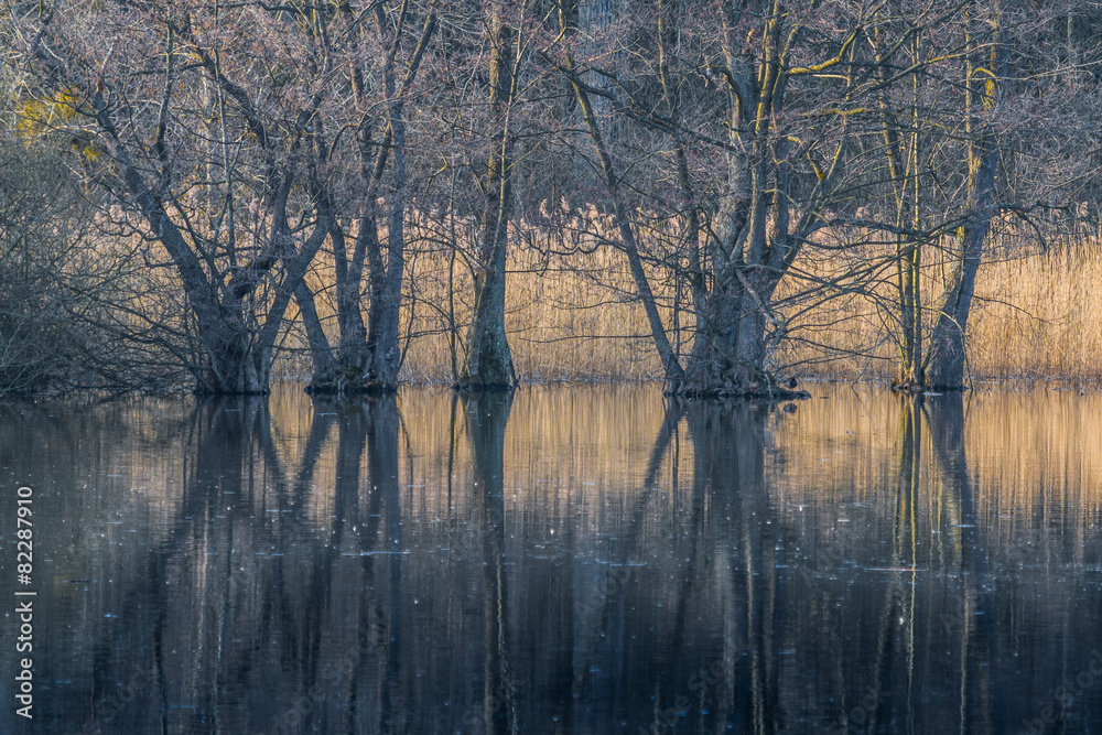 Weingartener Moor Shore Weingartener Moor Shore