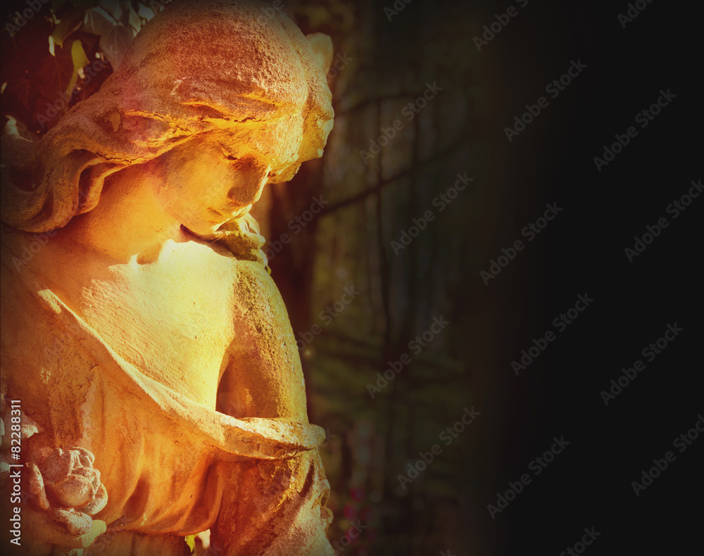 Fototapeta premium angel