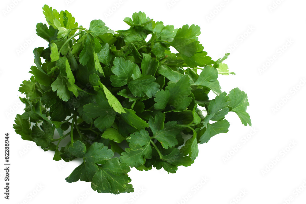 Obraz premium fresh parsley isolated on white
