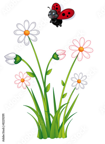 Glüclskäfer und Gänseblümchen