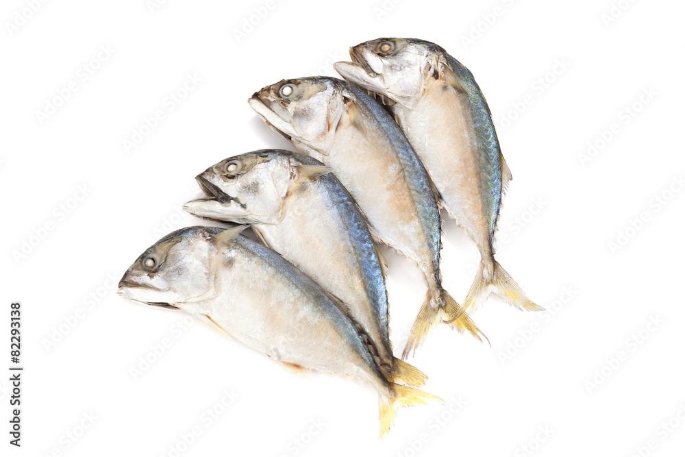 Fried mackerel on a white background Fried mackerel on a white background