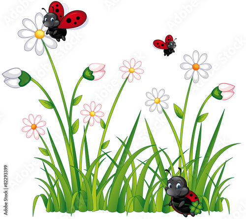 Marienkäfer im Blumenfeld