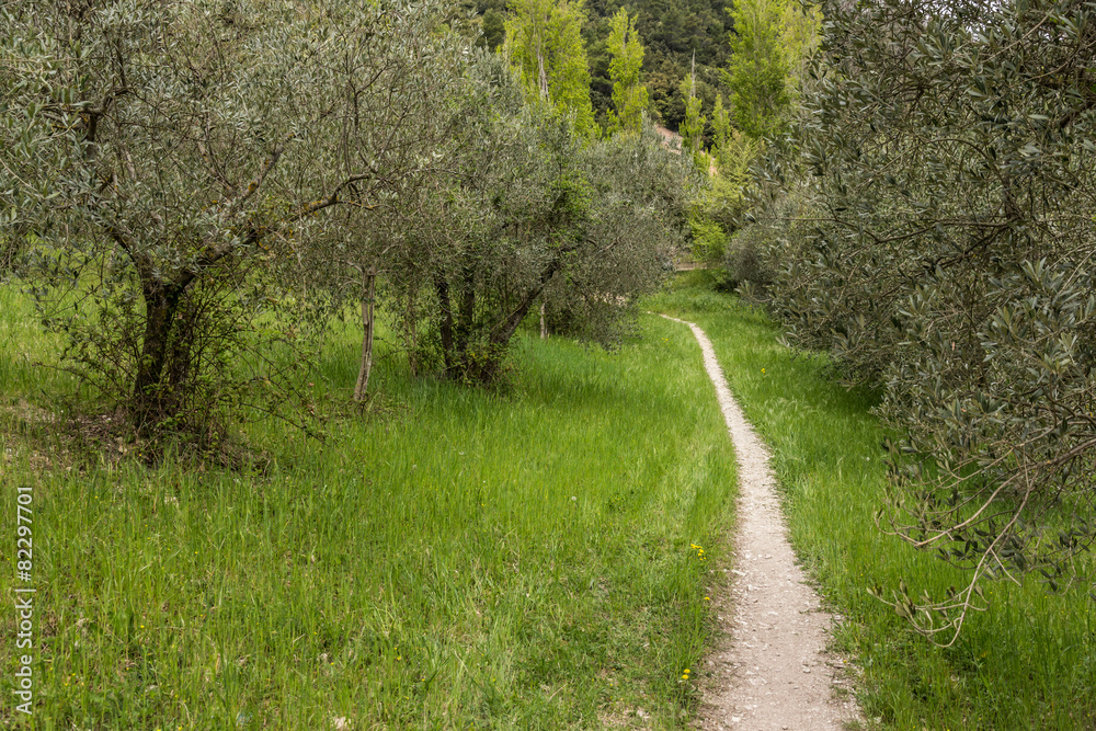 Vita all'aria aperta Vita all'aria aperta