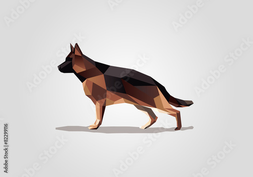 German Shepard