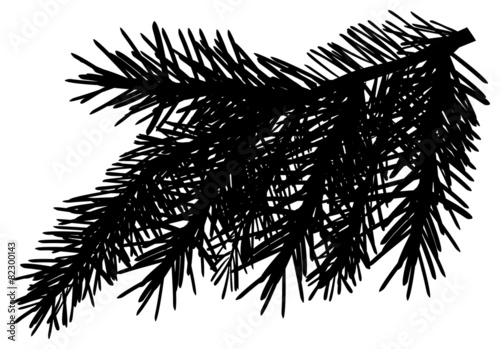 black pine branch with lot of needles