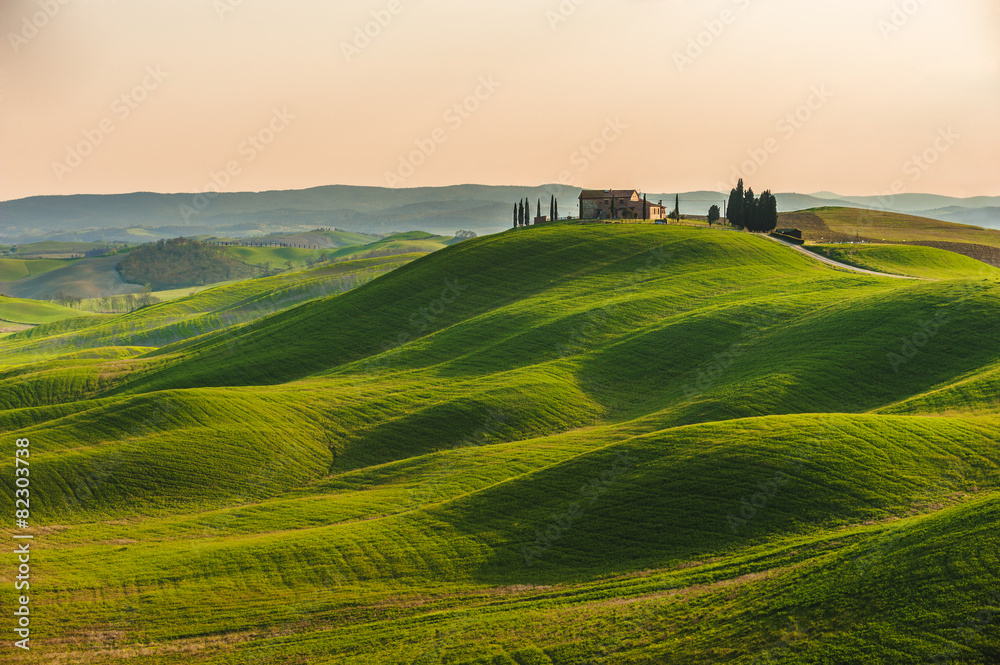 Spring in the fields of Tuscany in the sunset