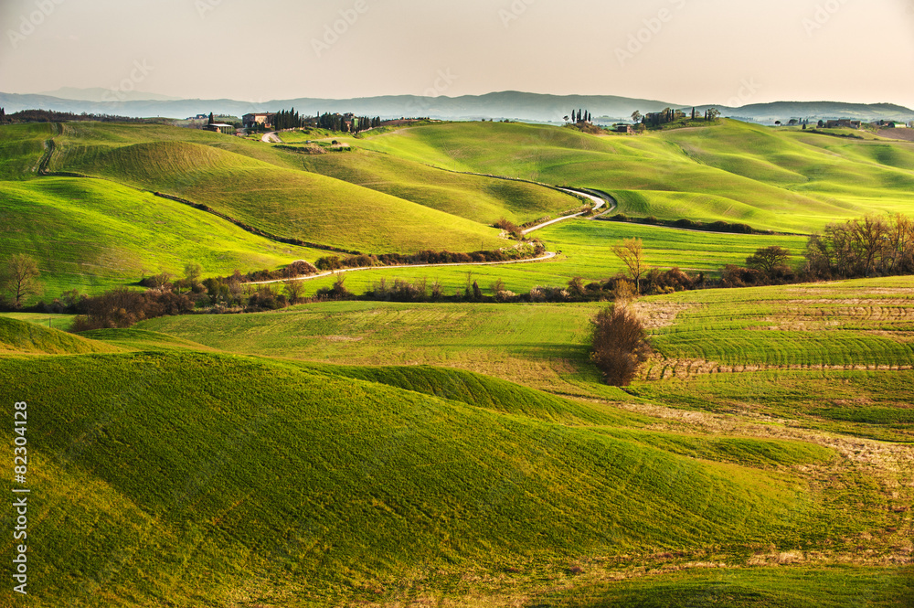 The road between green fields in the Tuscan landscape