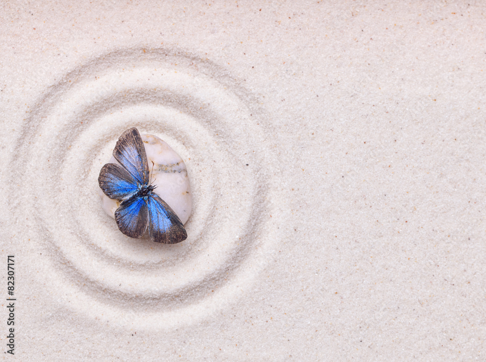 A blue vivid butterfly on a zen stone with circle patterns in th - obrazy, fototapety, plakaty 