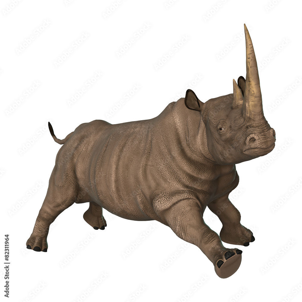 Fototapeta premium Rhinoceros